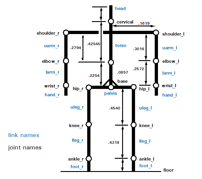 dig_sdk_skeletalstructure.png