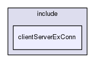 clientServerExConn